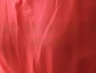 ROSI浴缸：在图库里泡个澡，下载一堆懒散灵感！