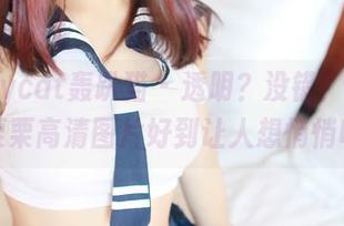 partycat轰趴猫 – 透明？没错！Ellie艾栗栗高清图片好到让人想悄悄收藏
