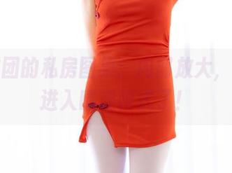 森萝财团的私房图集：内部放大，不小心进入晴涩模式了！
