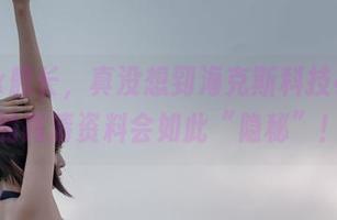 黑丝jk舰长，真没想到海克斯科技小蛋糕的高清资料会如此“隐秘”！